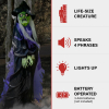Haunted Hill Farm HHWITCH-39HLS - 1